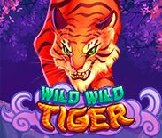 Wild Wild Tiger